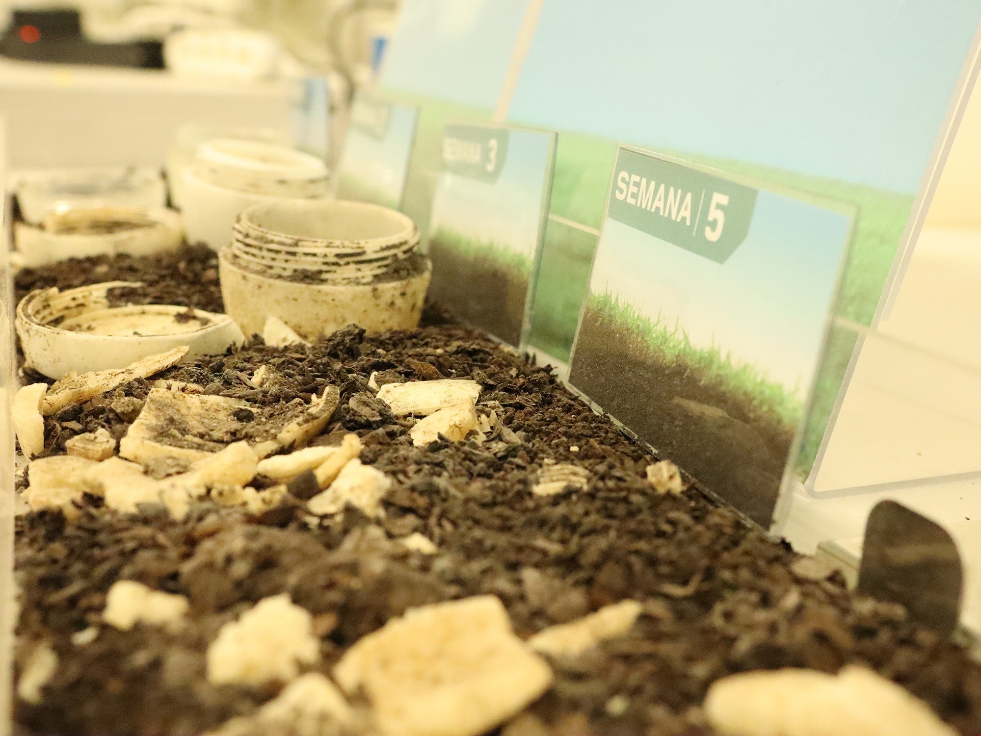 Compostability Testing for ITENE