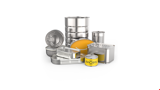 Eviosys Türkiye'ye Yatırım Yapacak